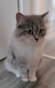 148_Happy Fr.Pogatschar.jpg